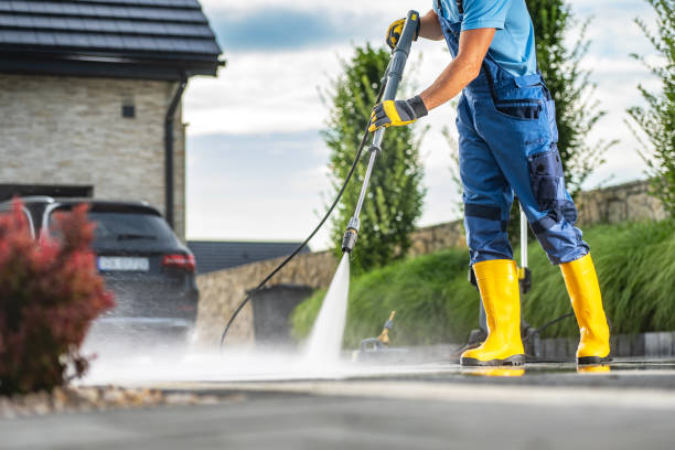 Best Animal Enclosure Cleaning  in Marion, MT